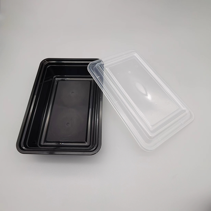 प्लास्टिक लंच बॉक्स