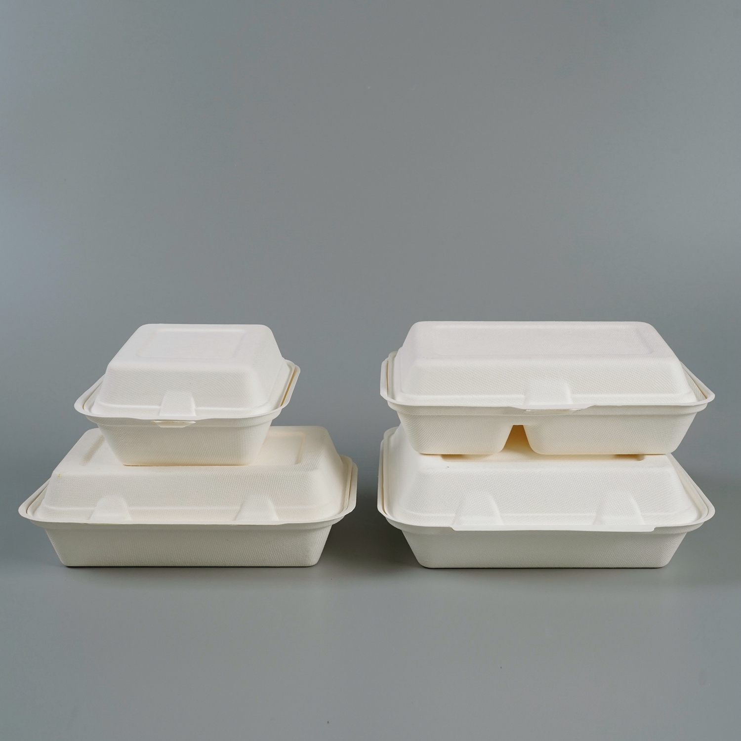 Bagasse-Lebensmittelverpackung