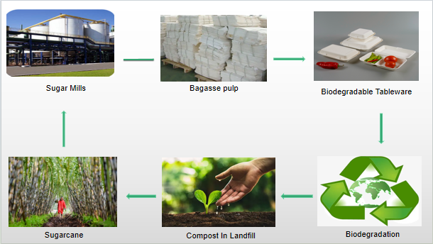 Ciclo de vida do produto