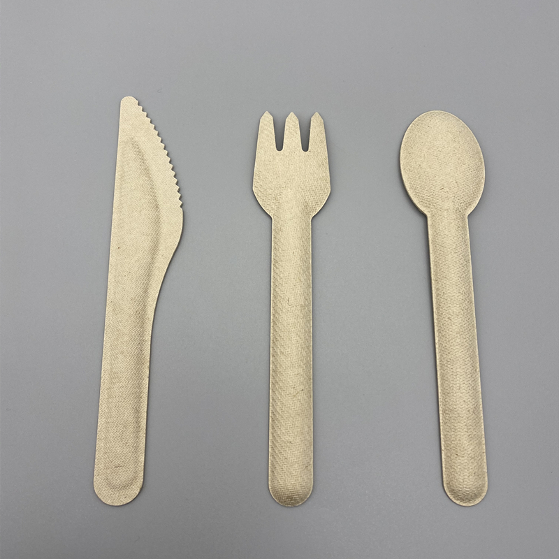 i-bagasse cutlery 4