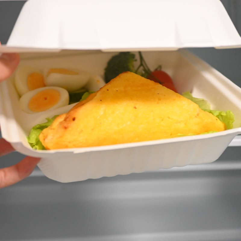 biodegradable takeout containers