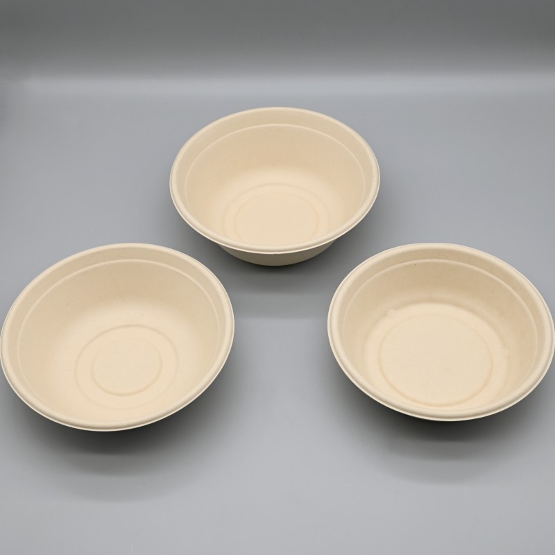 compostable bagasse tais tais (1)