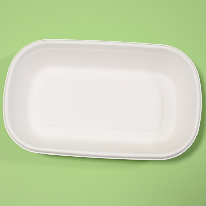 recipiente compostável para comida takeaway (10)