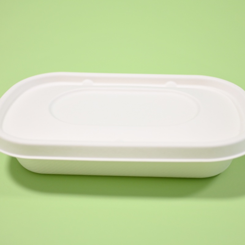 contenidor compostable per emportar (13)