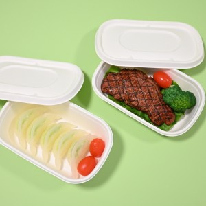 compostable takeaway na lalagyan ng pagkain (3)