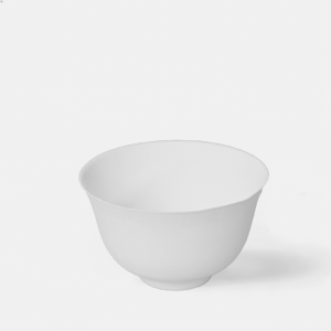 ප්‍රධාන 09