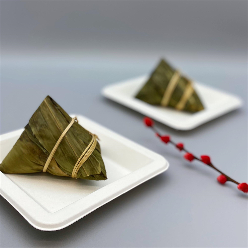 Biodegradable Sugarcane Bagasse Square Appetizer Plates for Coffee Shop Pastries