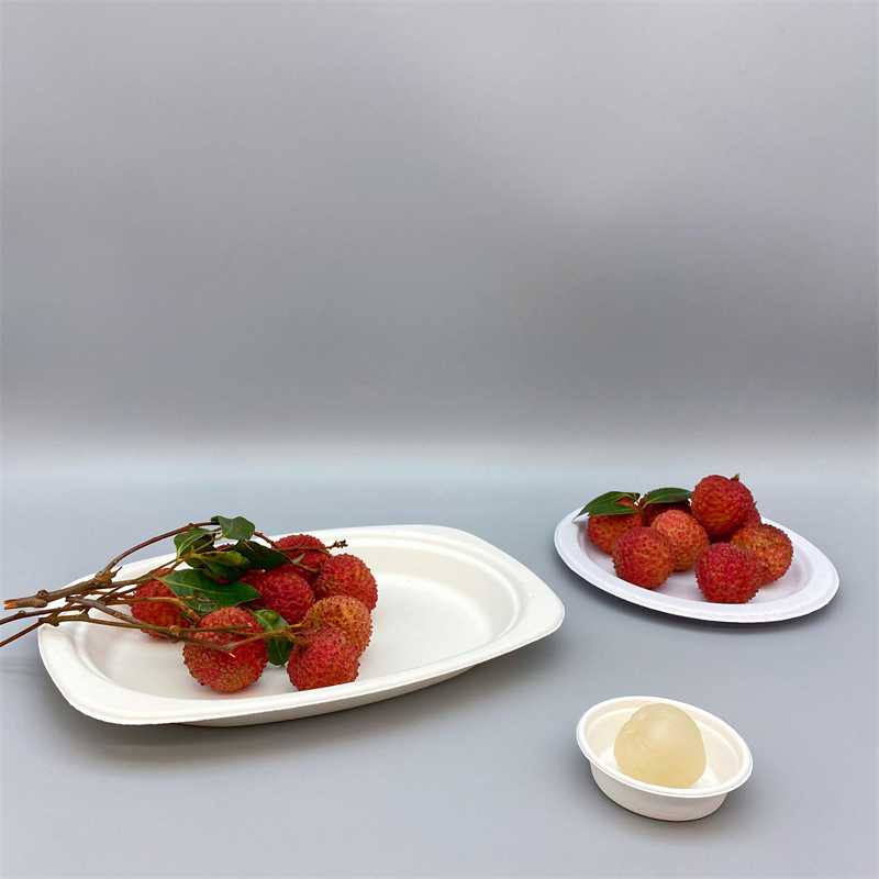 Biodegradable Disposable Sugarcane Bagasse Oval Dinner Plates