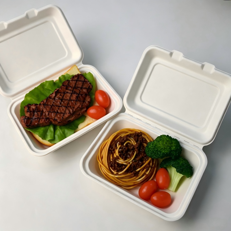 600ml Eco Bagasse Takeaway Clamshell Box Disposable Biodegradable Food Packaging