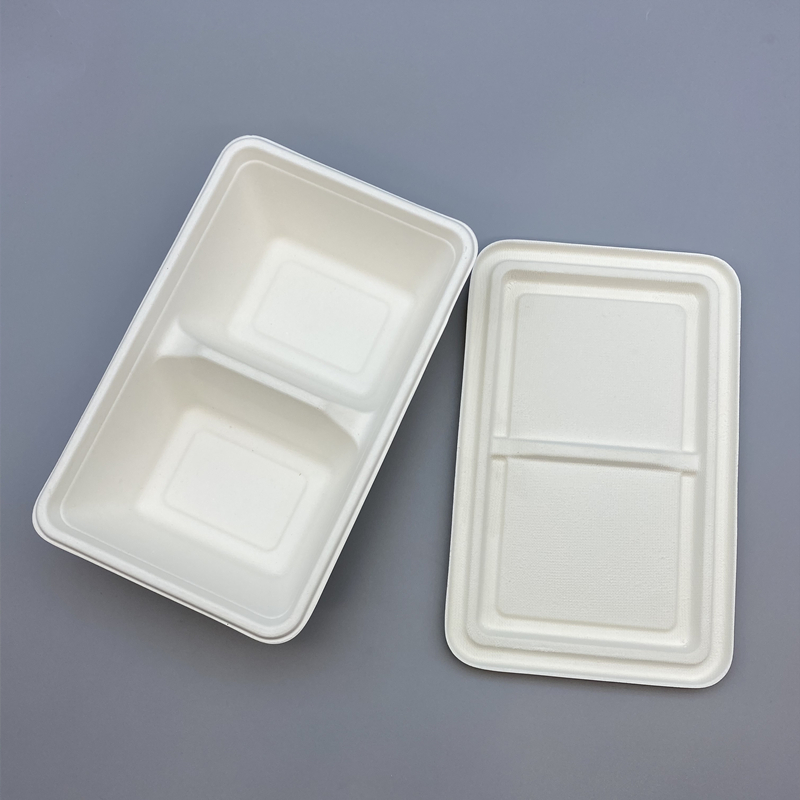 Compostable Sugarcane Container