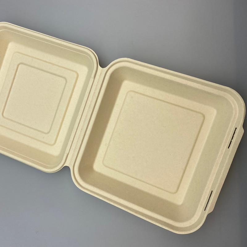 takeaway fbagasse ood box container