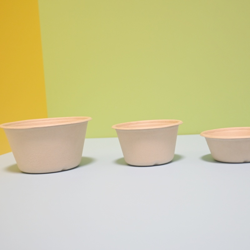 155ml ice cream bowl (6)