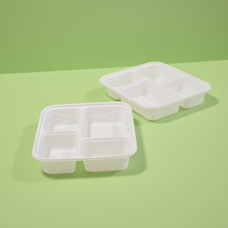 4-C disposable CPLA takeaway box (1)