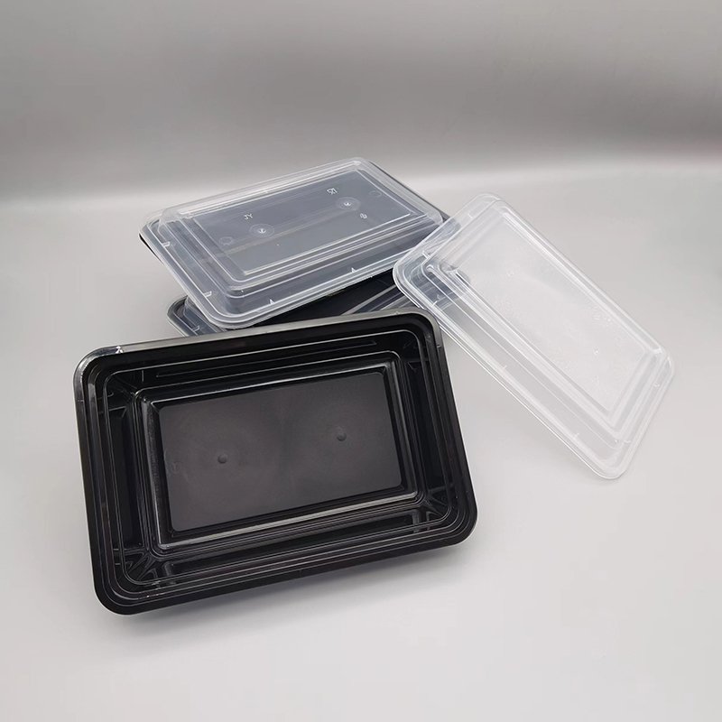 Plastic Lunch Box