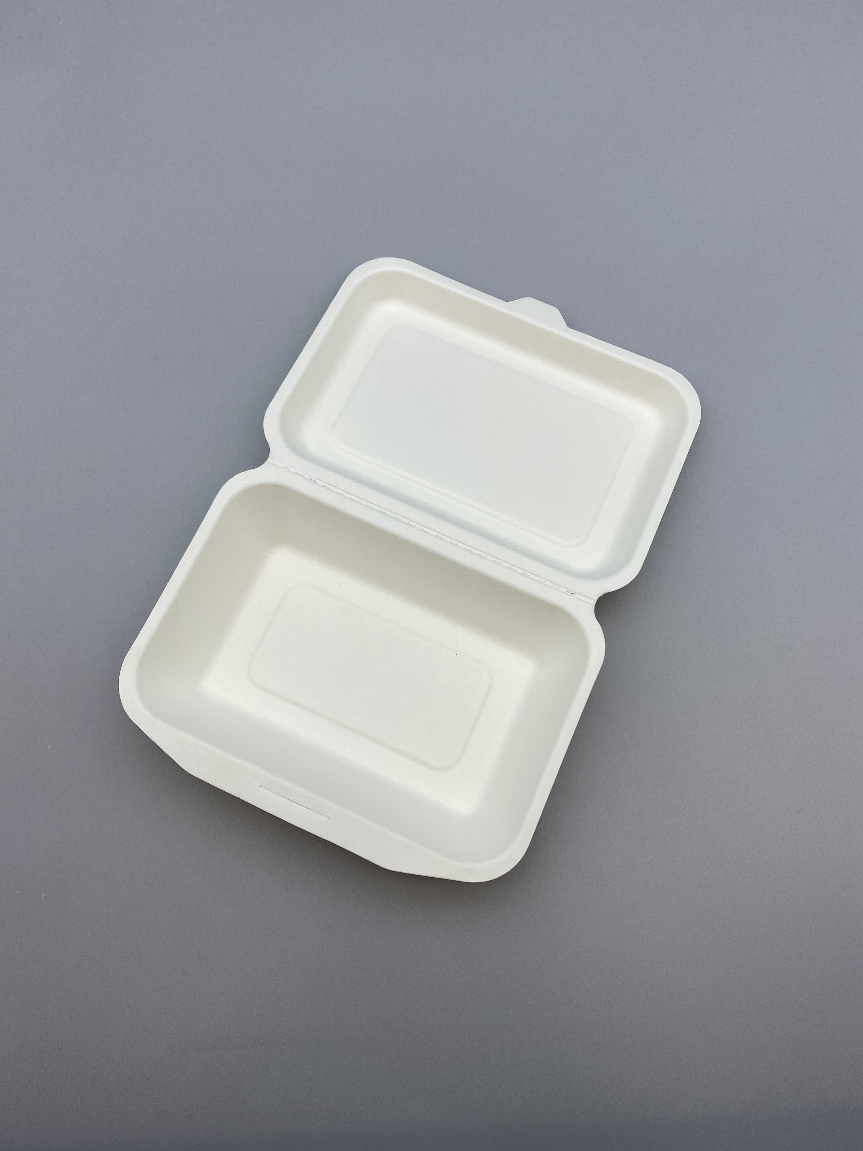 Compostable 450ml Bagasse Food Container
