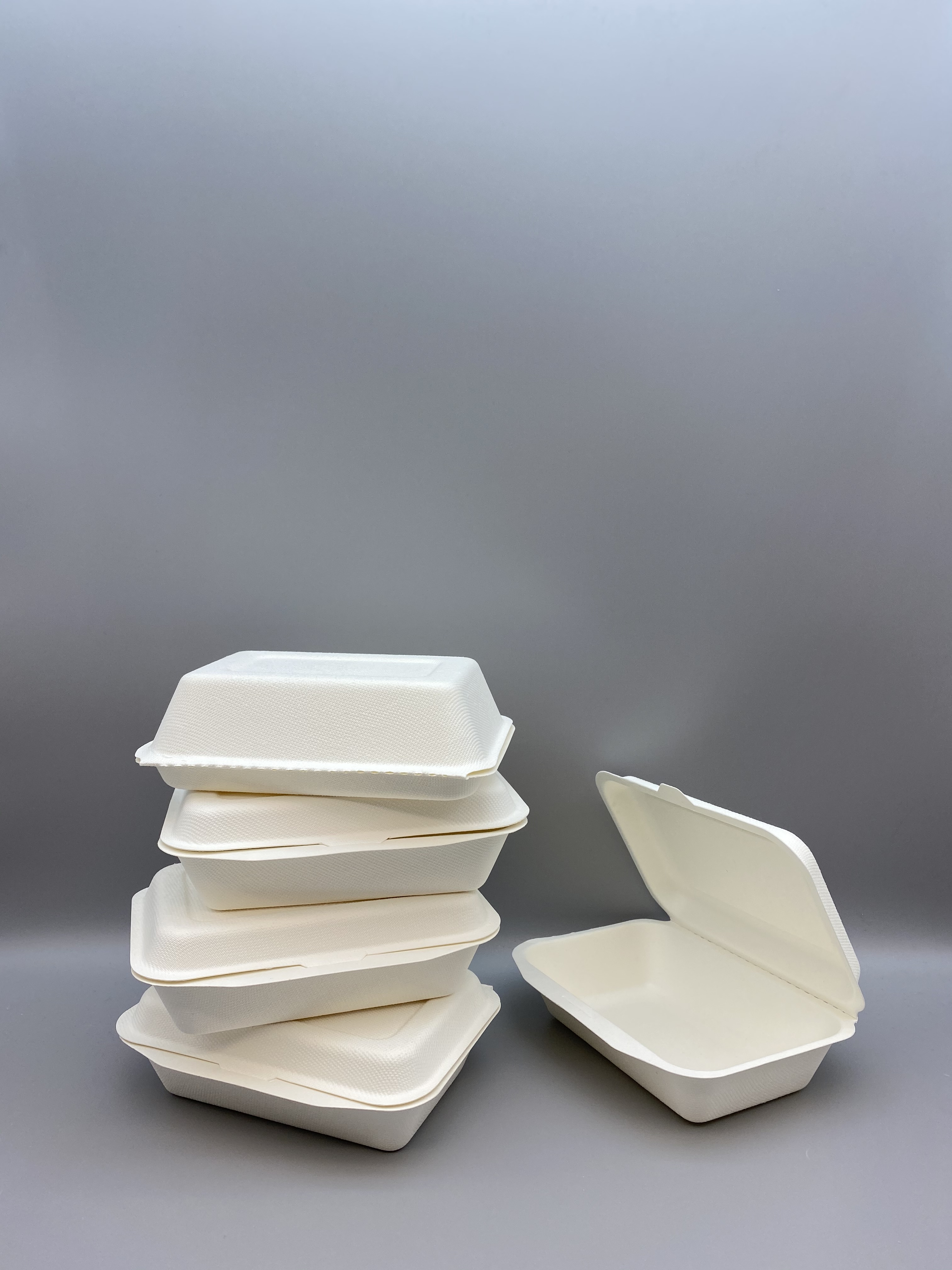 Compostable 450ml Bagasse Food Container