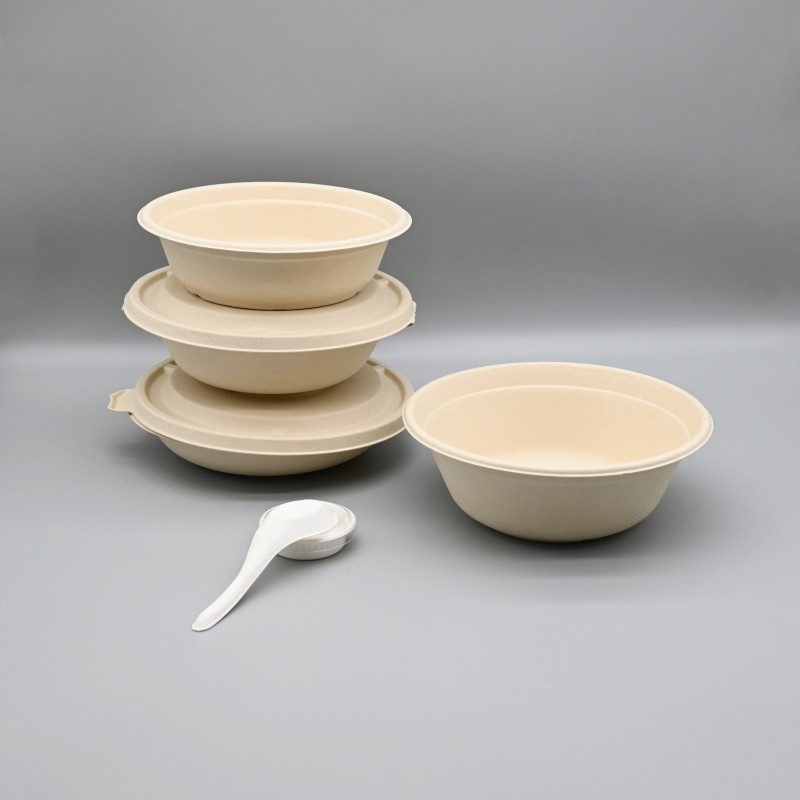 biodegradable disposable sugarcane Bagasse salad bowl