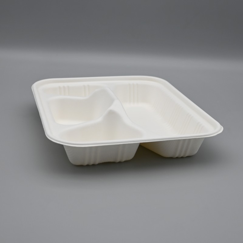 4comps bagasse box (12)