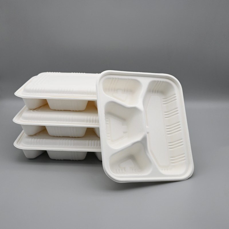 Bio Compostable Sugarcane bagasse 4 Compartments Lunch Box for child