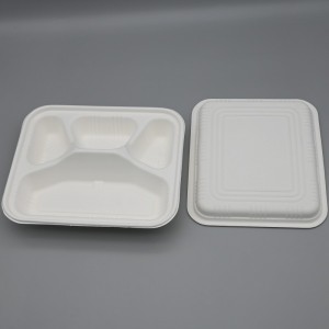 4comps bagasse box (6)