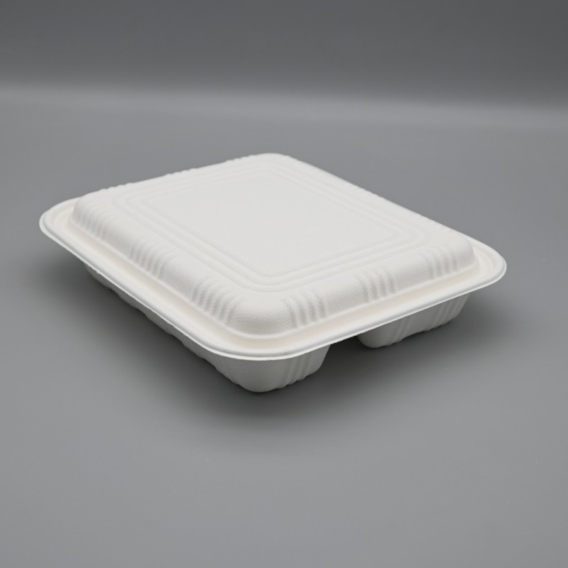 4comps bagasse box (7)