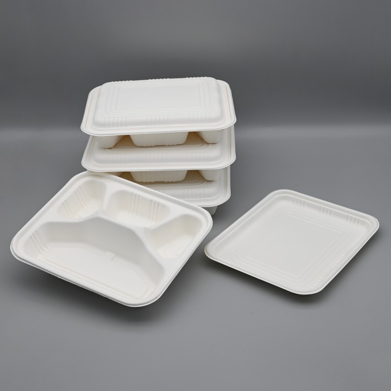 4comps bagasse box (8)