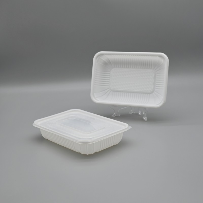 500ml PLA food box  (2)