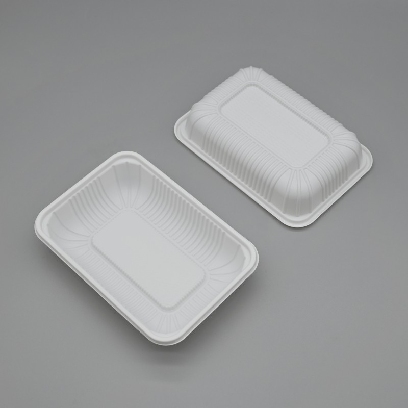 500ml PLA food box 4