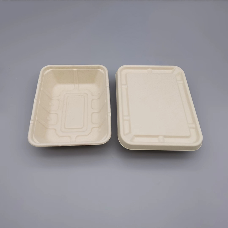 Sugarcane Container with Bagasse Lid