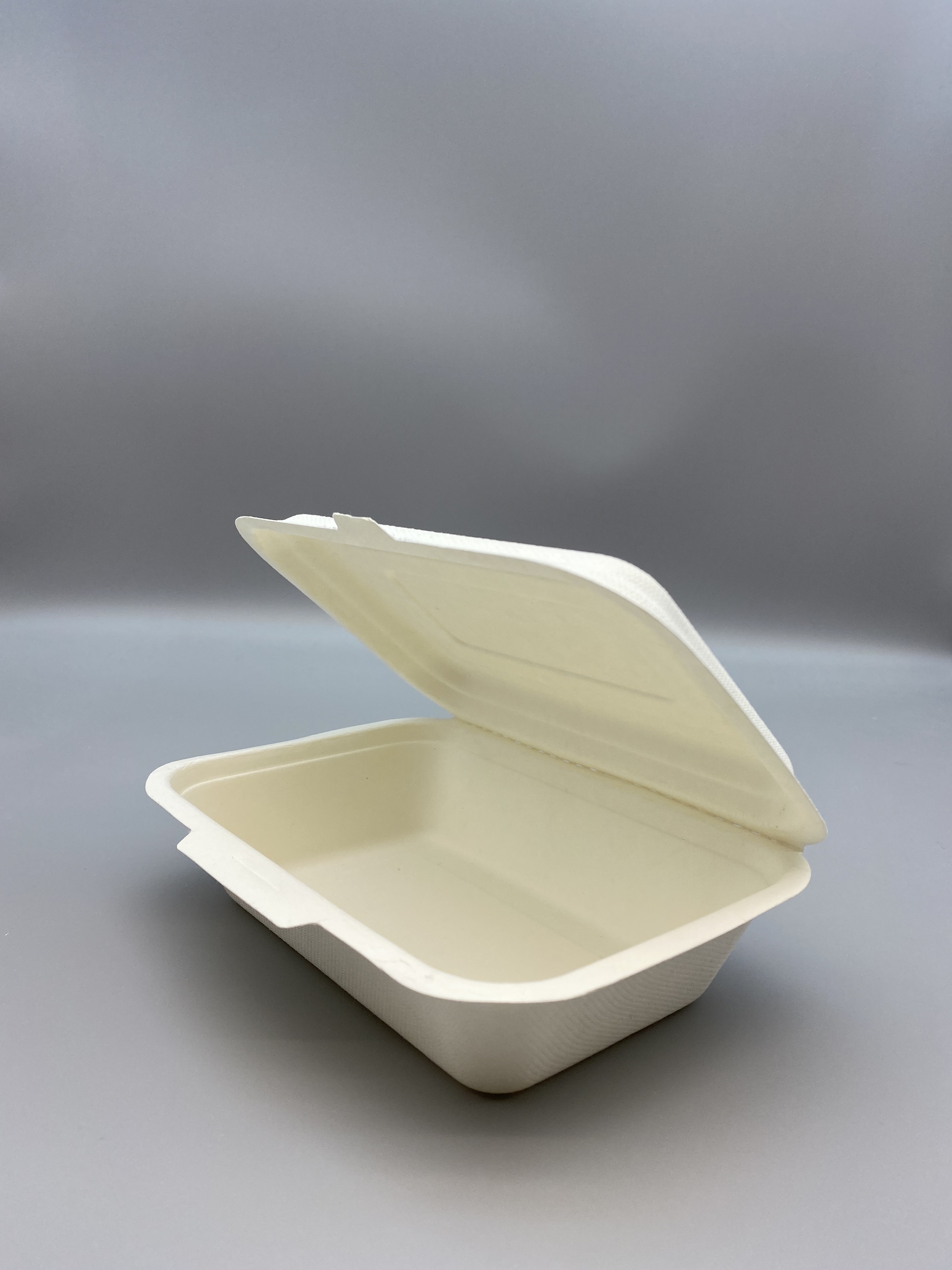 Compostable 450ml Bagasse Food Container