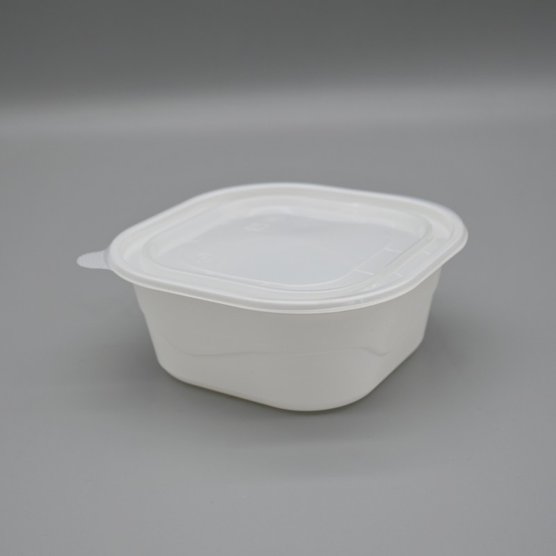 650ml PLA square salad bowl (5)