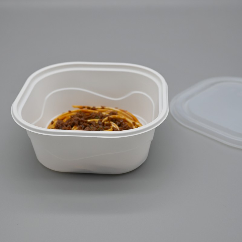 650ml PLA square salad bowl (6)