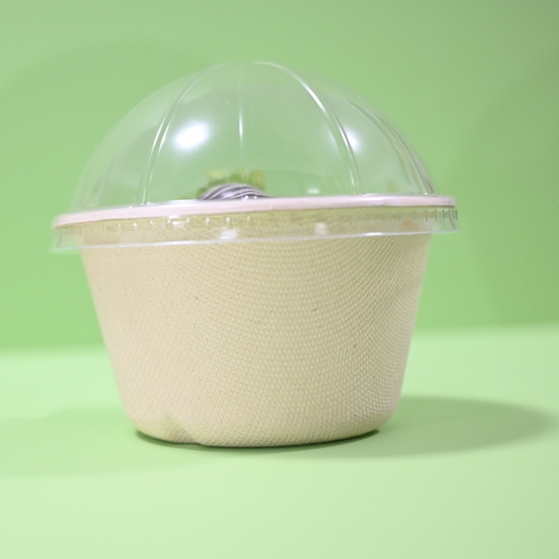 sugarcane compostable container ice cream bowl