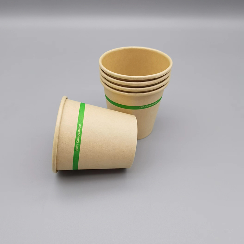 Bamboo Paper CUP