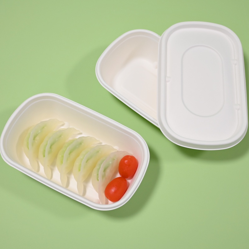 MVI 700ml sugarcane takeaway packaging box