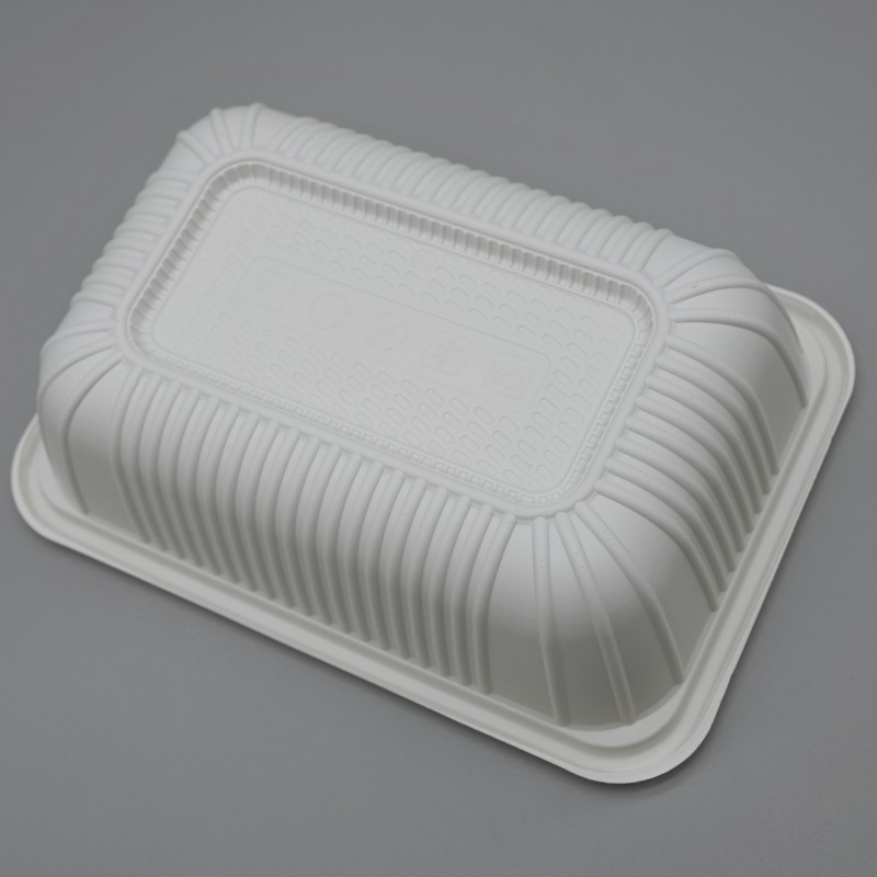 750ml single PLA food container (2)