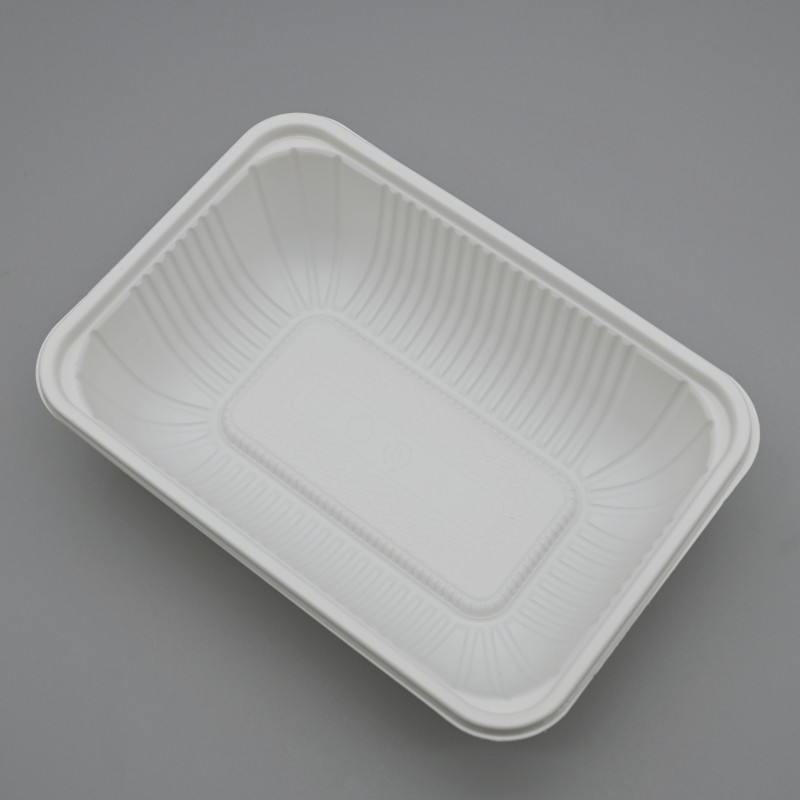 750ml single PLA food container (3)
