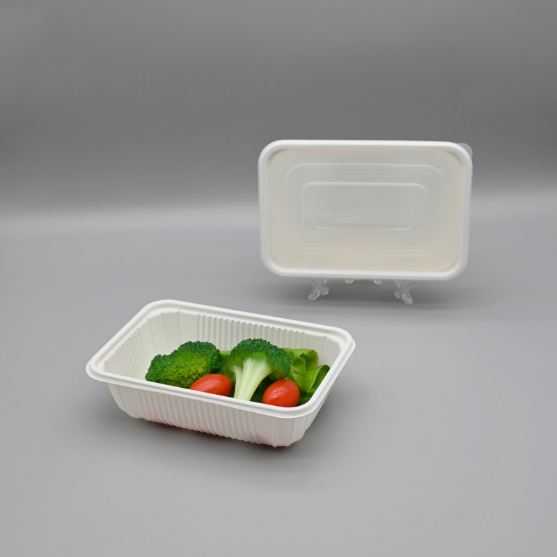 750ml single PLA food container (4)