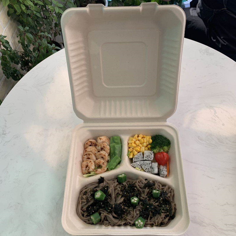 compostable Take Away Bagasse Clamshell