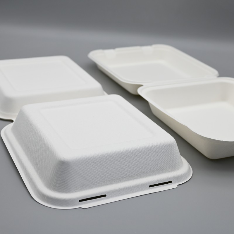 8inch bagasse clamshell (4)