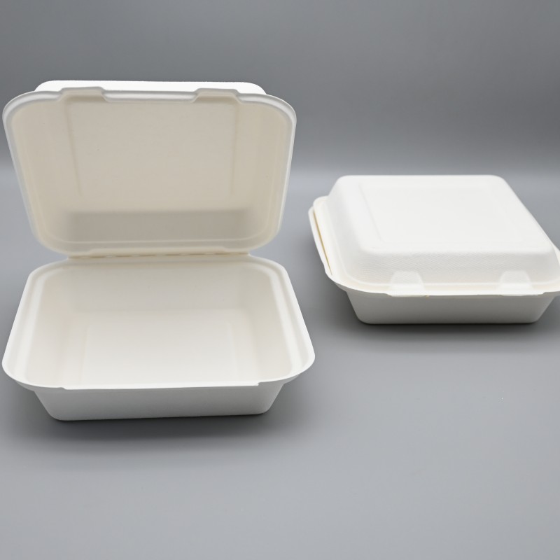 8.5inch single Bagasse ClamShell Box Food Container Supplier
