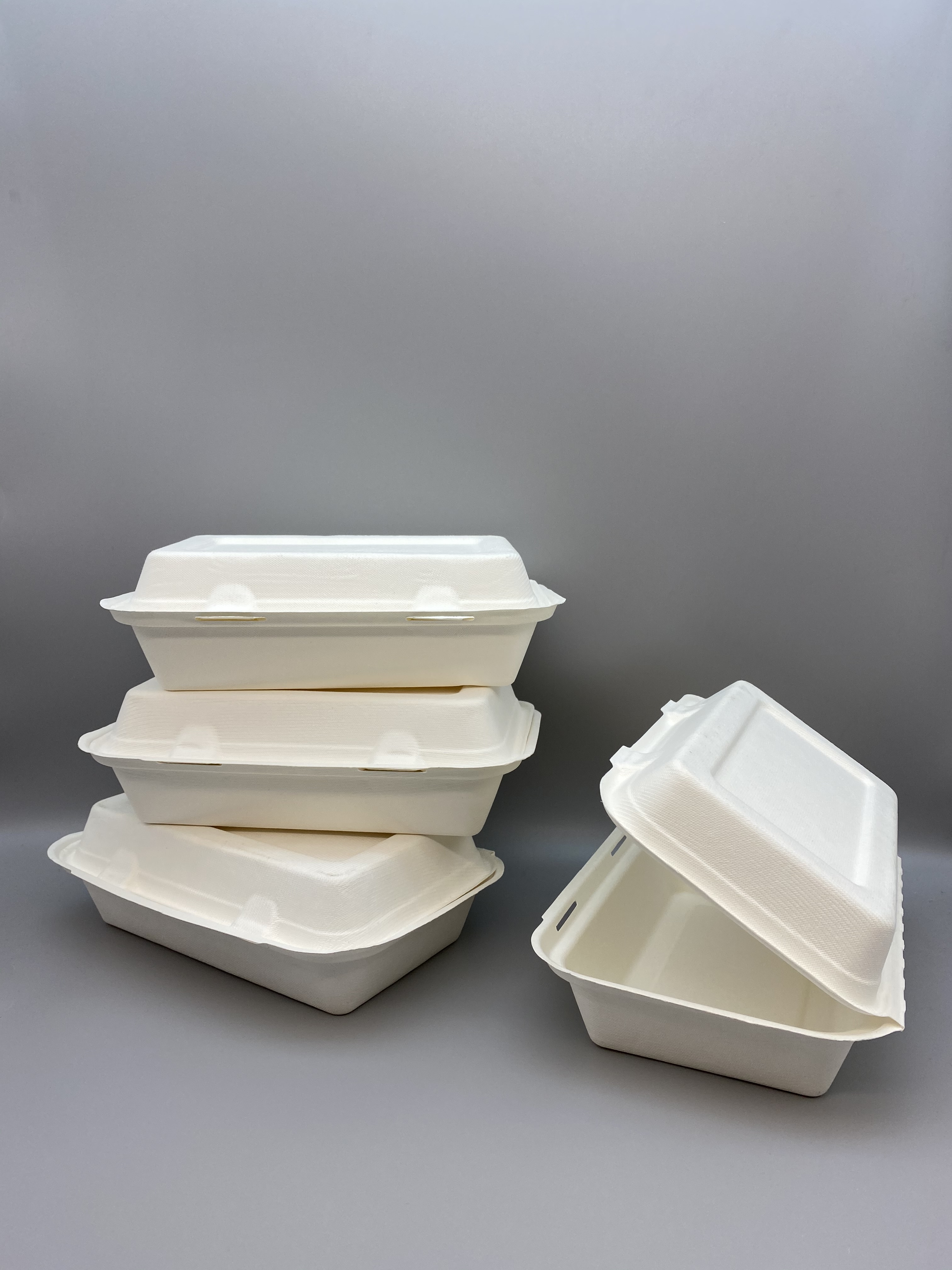 Bagasse 1000ml clamshell 5
