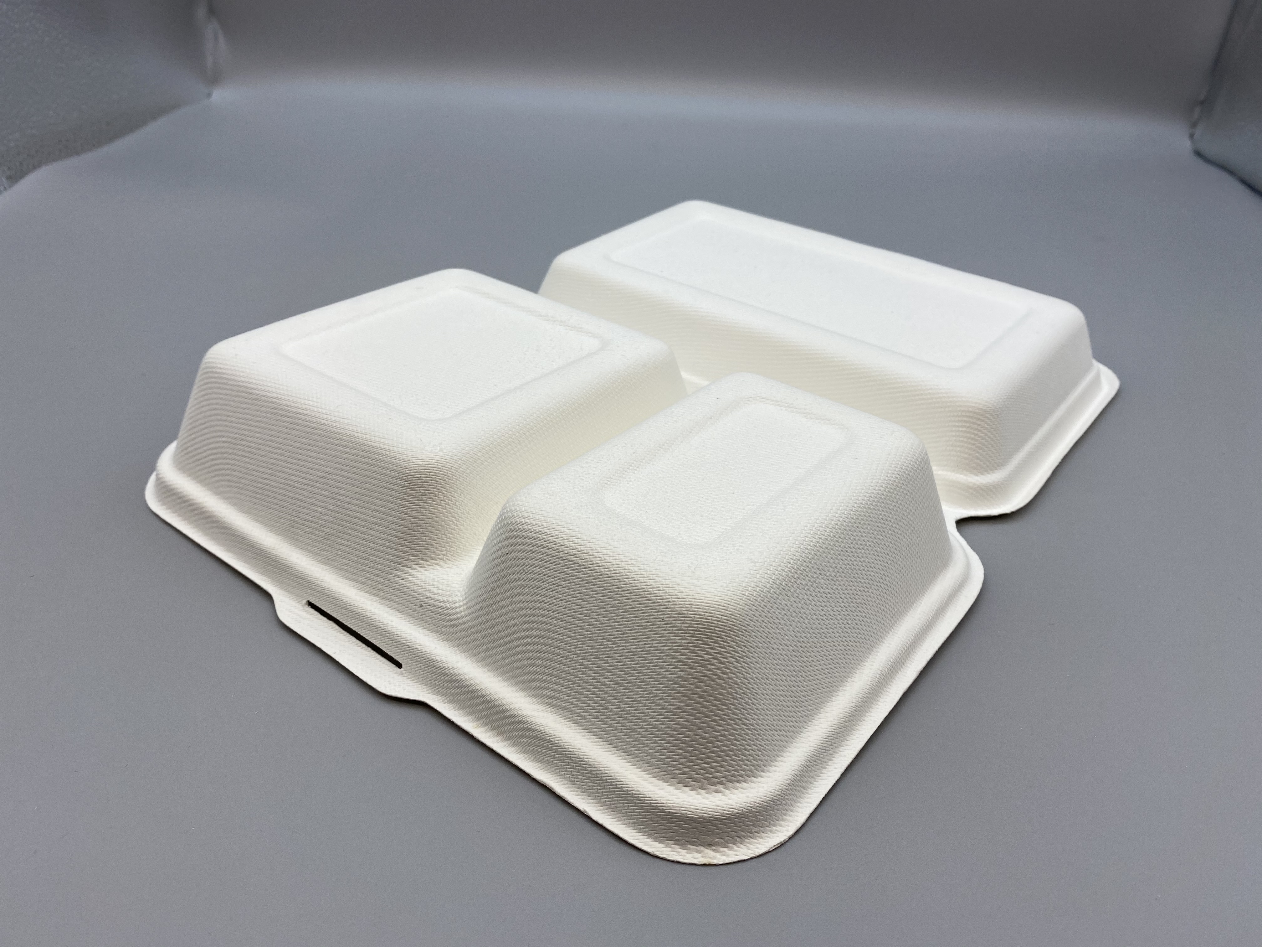 Bagasse 1000ml clamshell with 2 compartments 4