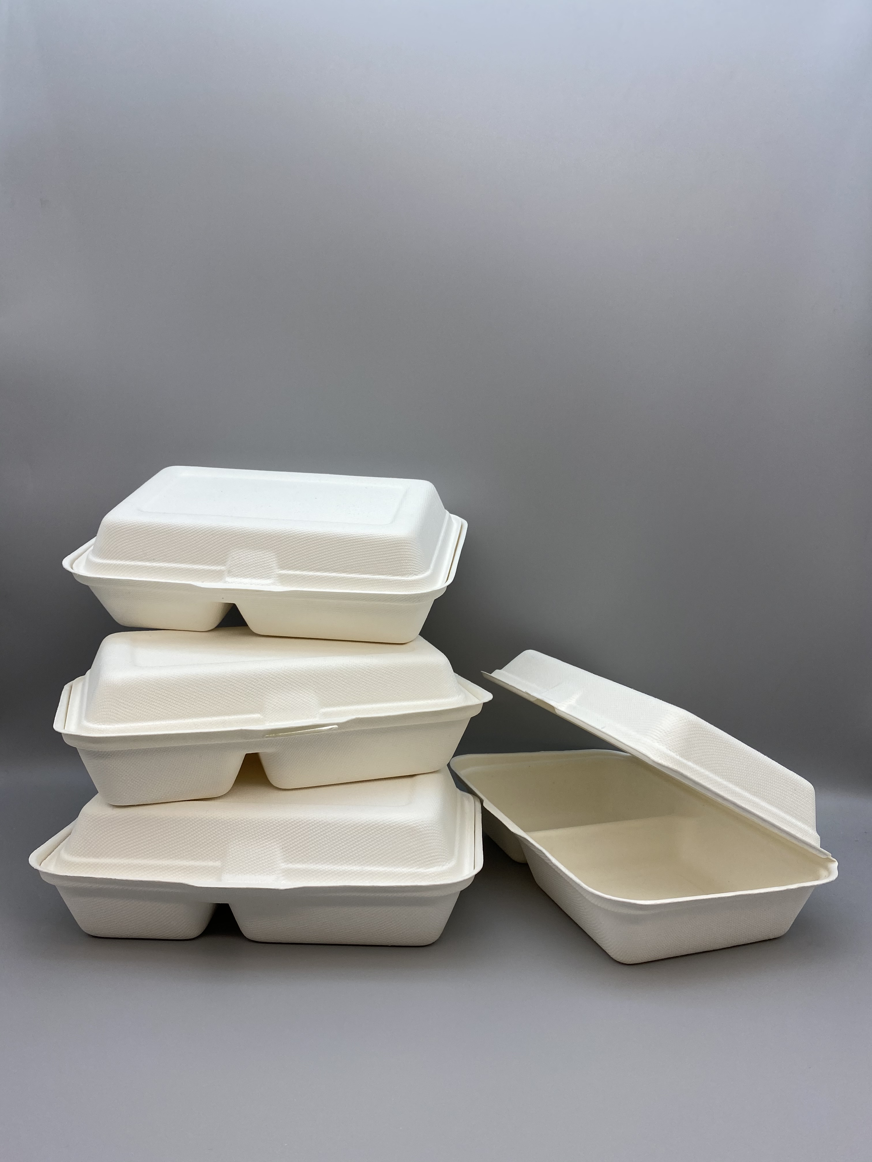 Bagasse 1000ml clamshell with 2 compartments 5