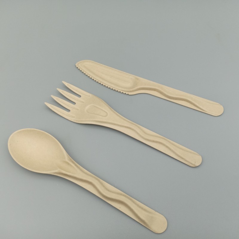 Bagasse Cutlery (1)