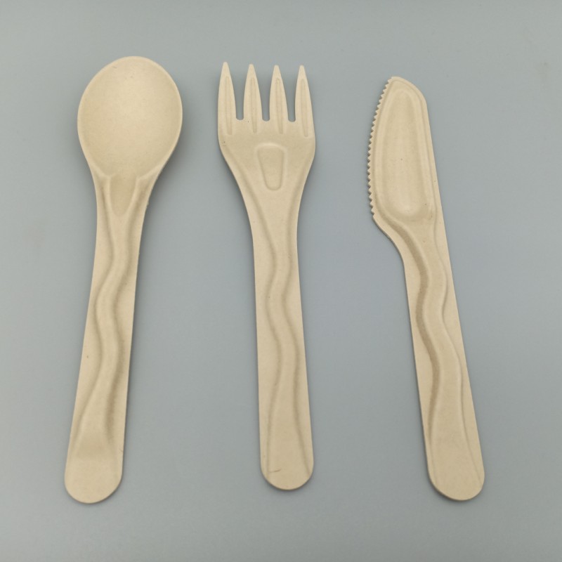 Bagasse Cutlery (2)