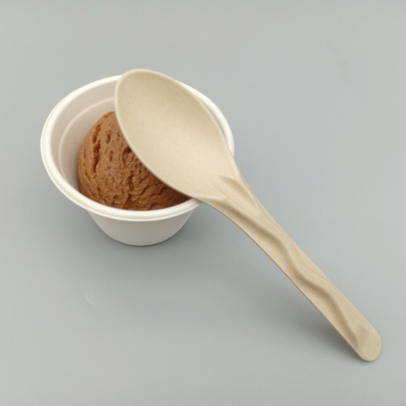 Bagasse Cutlery (3)