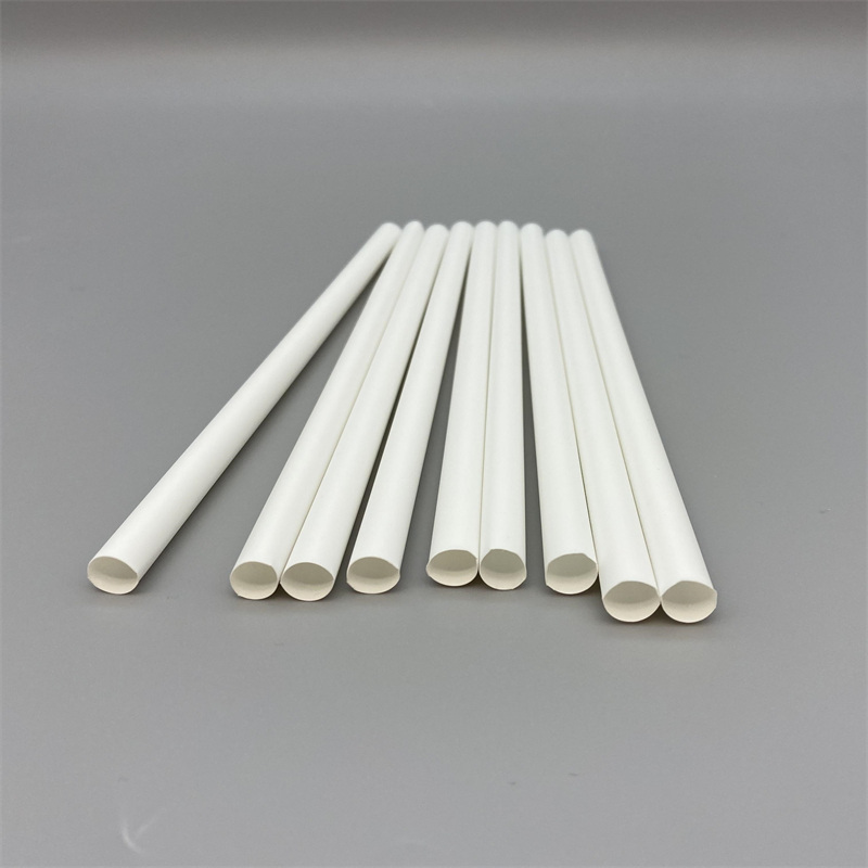 Bamboo Straw 5