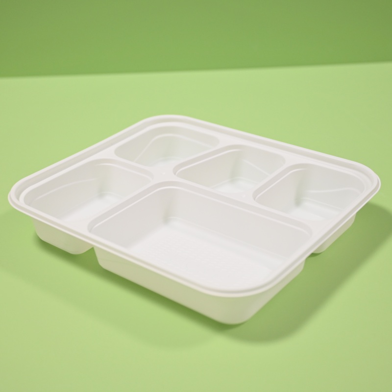 CPLA food lunch box (6)