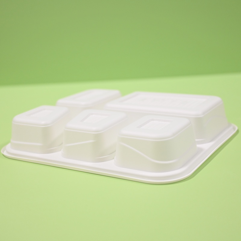 CPLA food lunch box (7)